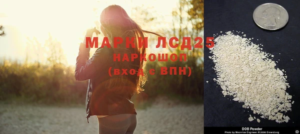мдпв Ельня