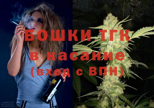 мдпв Ельня