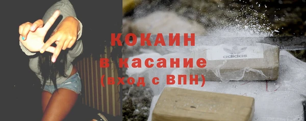 мдпв Ельня