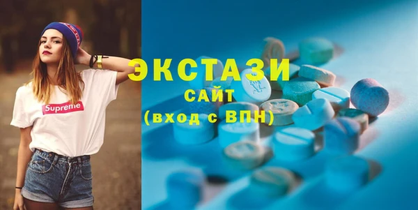 мдпв Ельня