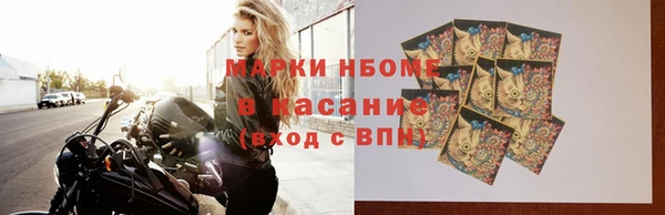 мдпв Ельня