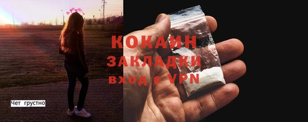 мдпв Ельня