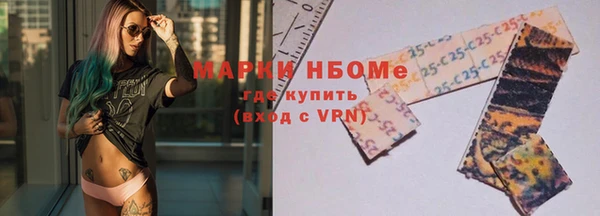 мдпв Ельня
