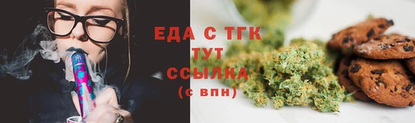 мдпв Ельня