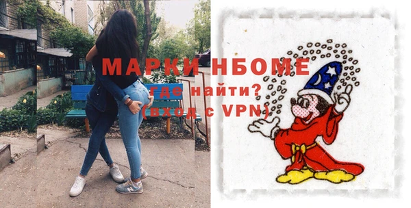 мдпв Ельня