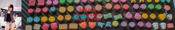 мдпв Ельня