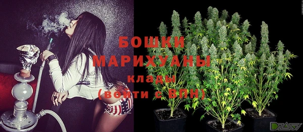 прущие грибы Заволжск