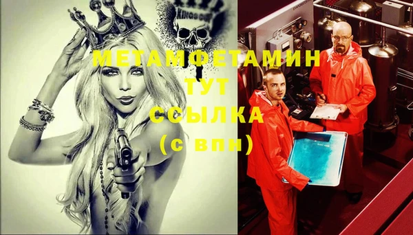 мдпв Ельня