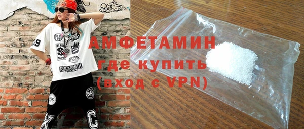 мдпв Ельня