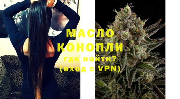мдпв Ельня