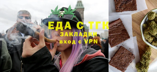 мдпв Ельня
