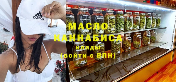 мдпв Ельня