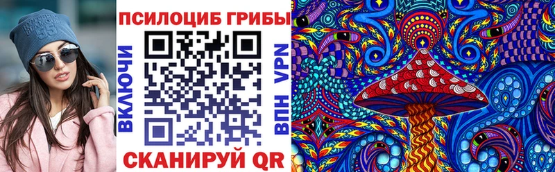 Купить закладки Чапаевск Галлюциногенные грибы MAGIC MUSHROOMS